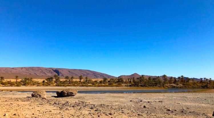 Amoudou Lodge Camp Tissint Ngoại thất bức ảnh